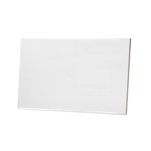 [CE0024] BALDOSA DE CERÁMICA 20X30CM