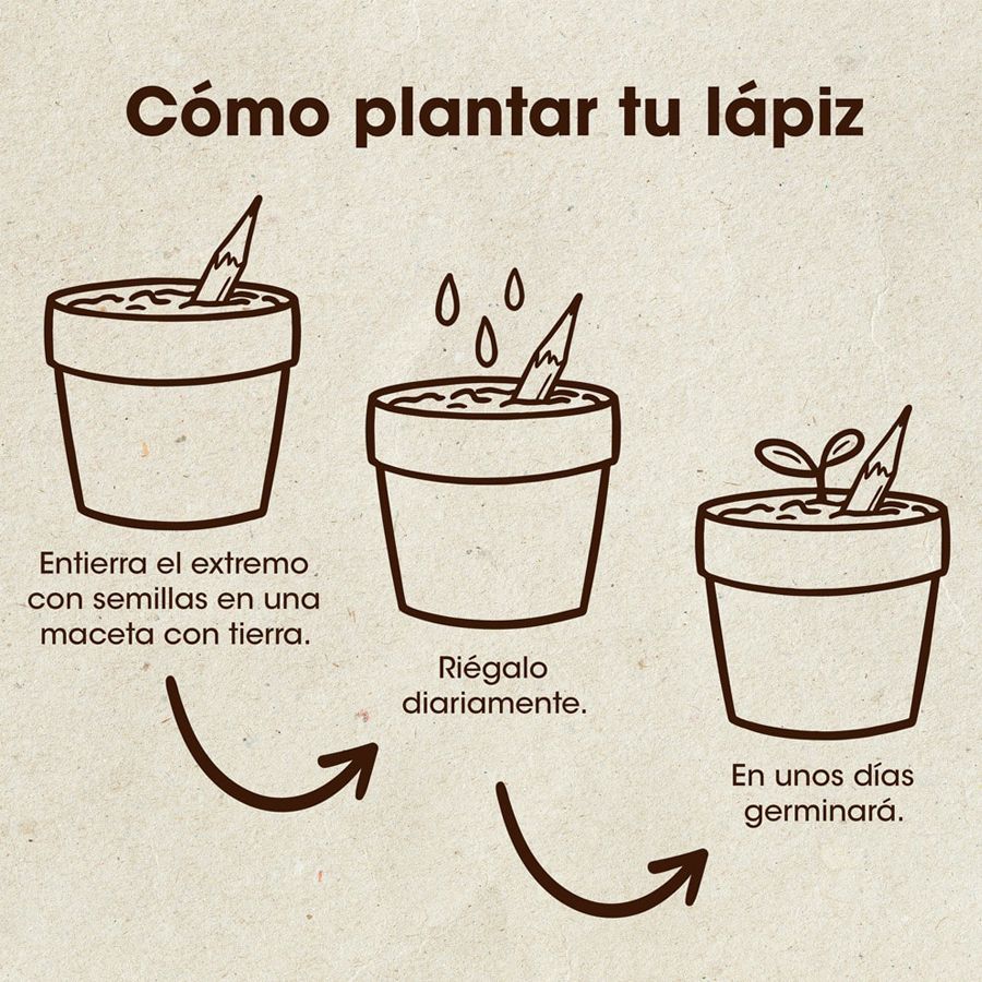 LÁPIZ PLANTABLE CON SEMILLA DE TOMATE