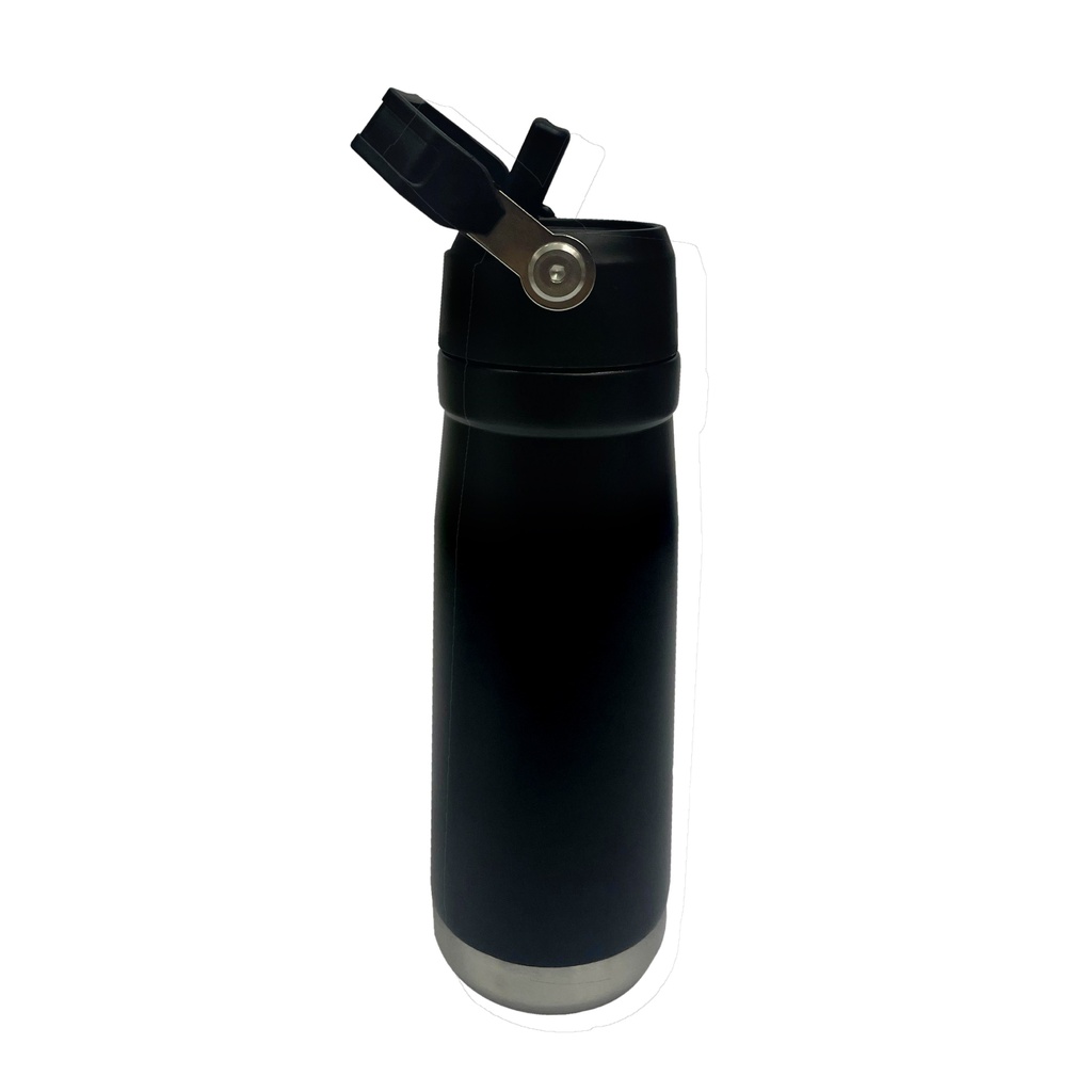 BOTELLA TERMICA 650ML CON MANIJA Y BOQUILLA