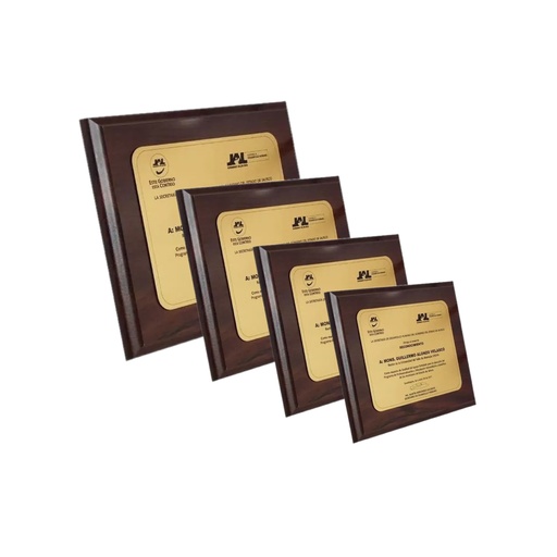 [PR-1078] PLACA DE MADERA